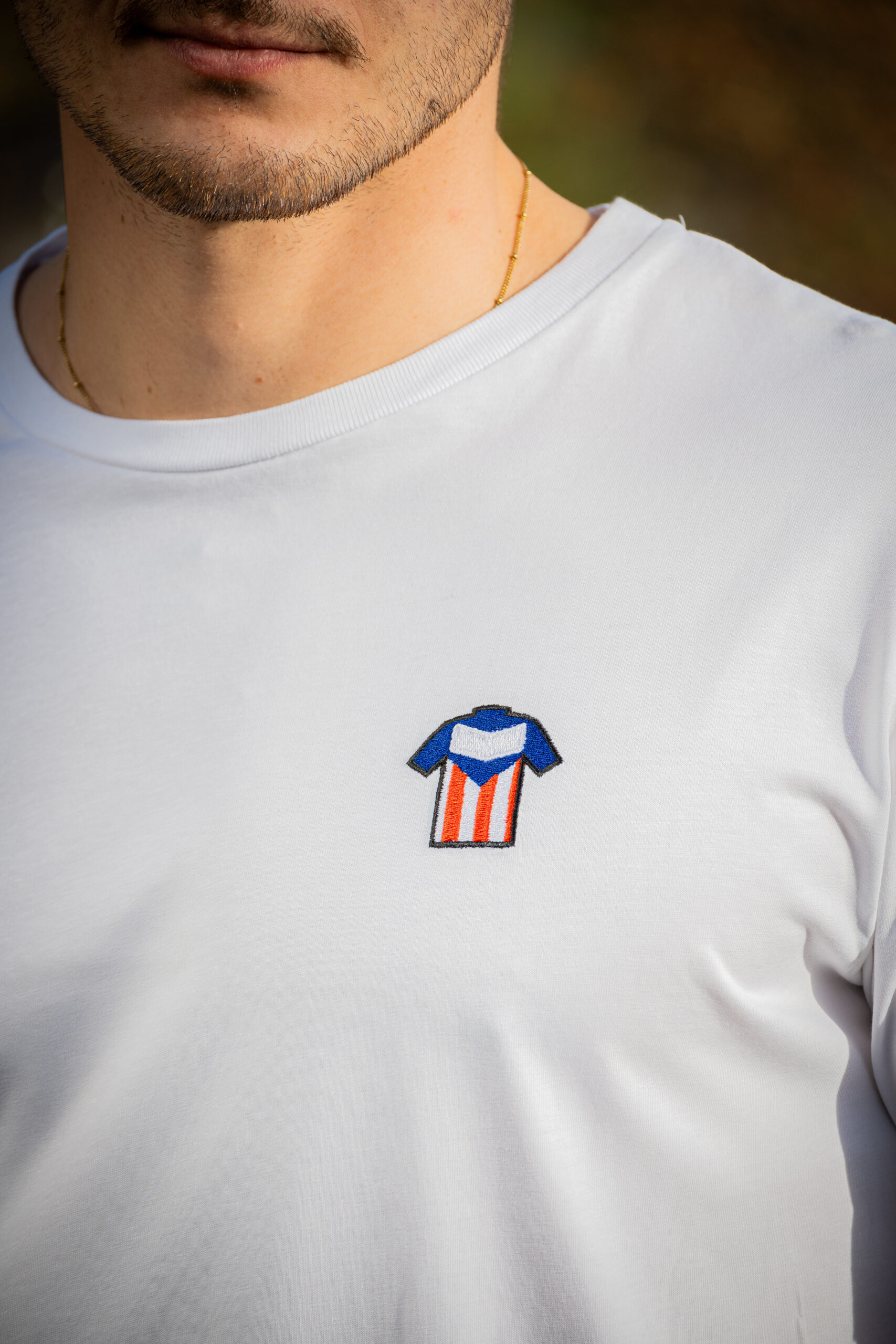 LA LÉGENDE DE R. DE VLAEMINCK – Image 2