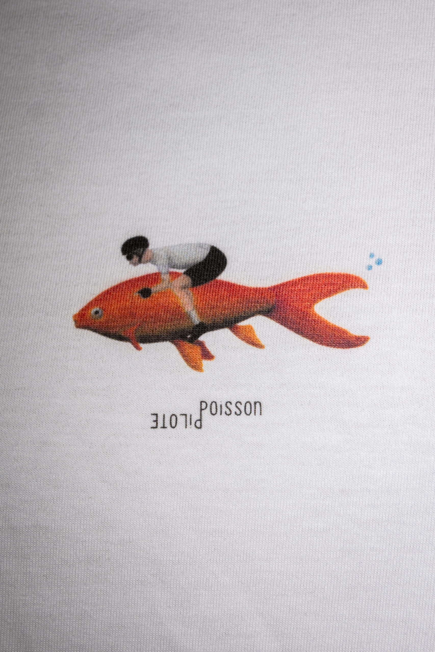 POISSON PILOTE – Image 3